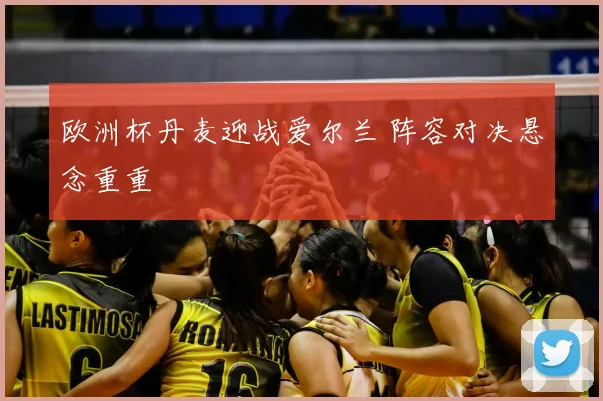 欧洲杯丹麦迎战爱尔兰 阵容对决悬念重重