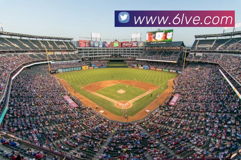 奇异果体育 - 官方网站平台生态图